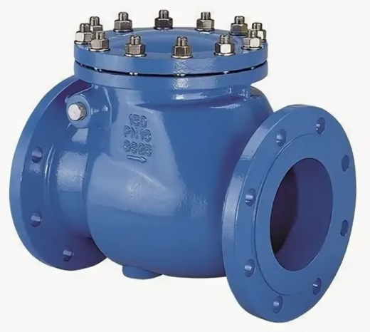 Клапан обратный Hawle 9830 dn65 pn16 в Сочи